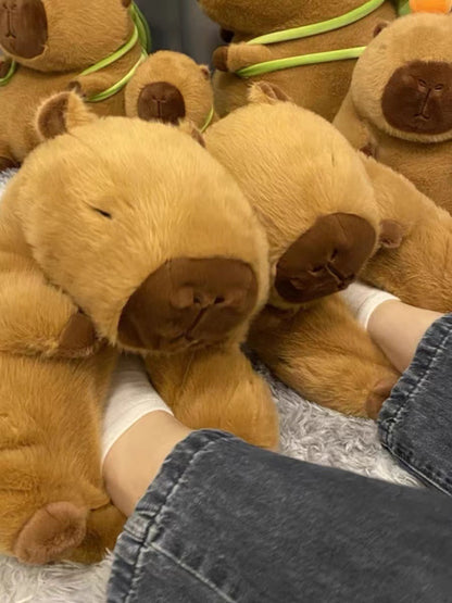 Capybara Slippers