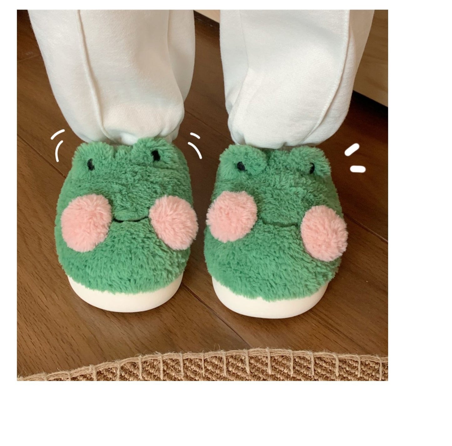 Froggy Slippers